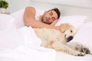man sleeping with dog in bed